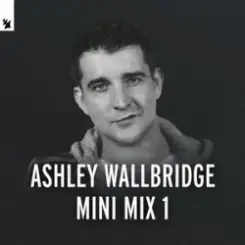 Ashley Wallbridge - Mumbai Traffic (Armin van Buuren's Edit) слушать онлайн