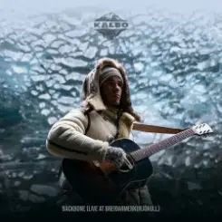 Kaleo - Backbone слушать онлайн