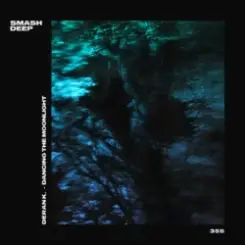 Обложка Deran K. - Dancing The Moonlight