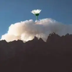 Обложка 25/17 & Ёлка - Любовь во время чумы