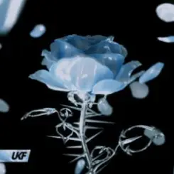 Обложка Synergy & RIENK - Stay