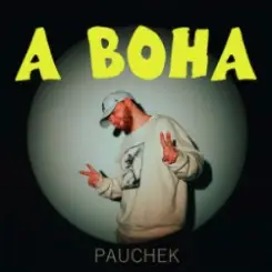 Pauchek - А ВОНА слушать онлайн