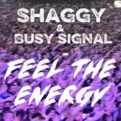 Shaggy & Busy Signal - Feel The Energy слушать онлайн