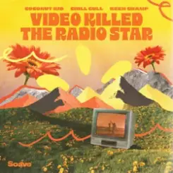 Coconut Kid & Chill Gull & Keen Champ - Video Killed The Radio Star слушать онлайн