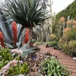 Echo Gardens - Den nich слушать онлайн