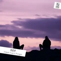 Обложка V.O.P. - I Just Can't Forget