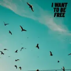 Roberto Pedoto - I Want To Be Free слушать онлайн