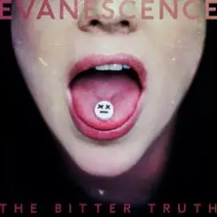Evanescence - Take Cover слушать онлайн