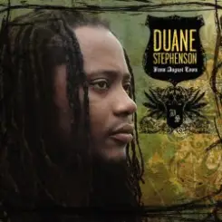 Duane Stephenson - Mr. B слушать онлайн