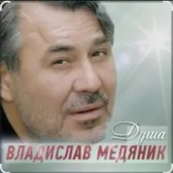 Обложка Владислав Медяник - Душа