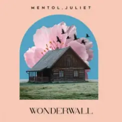 Mentol & Juliet - Wonderwall слушать онлайн