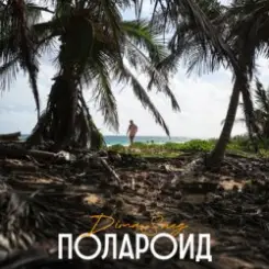 Обложка Dima Sneg - Полароид (Remix)