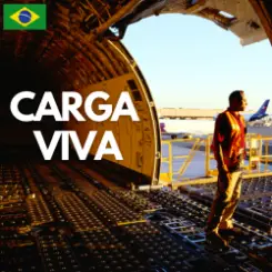 Carga Viva - Maquillaje слушать онлайн