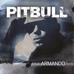 Pitbull - Esta Noche слушать онлайн