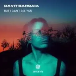 Обложка Davit Barqaia - But I Can t See You