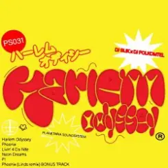 DJ POLKOMTEL, DJ BLIK - Harlem Odyssey слушать онлайн
