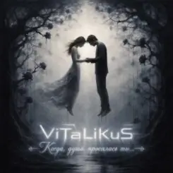 Обложка ViTaLiKuS - Когда, душа, просилась ты...