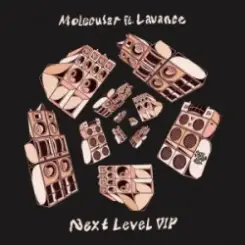 Molecular & Lavance - Next Level (VIP) слушать онлайн