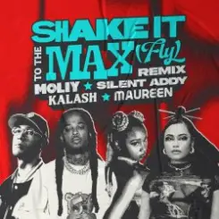 Обложка MOLIY & Silent Addy - Shake It To The Max (FLY) [Kalash & Maureen Remix]
