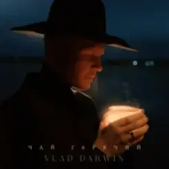 Vlad Darwin - Чай гарячий слушать онлайн