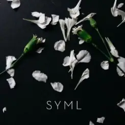 Обложка SYML - Meant to Stay Hid