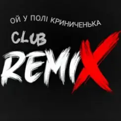 Miha Danilchuk - Ой у полі Криниченька (Club Remix) слушать онлайн