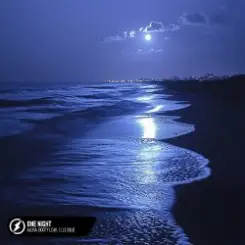 Обложка Alosa, Booty Leak, Elle Blue - One Night