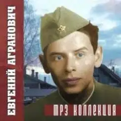 Обложка Евгений Агранович - Офицеры