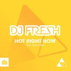 DJ Fresh Ft. Rita Ora - Hot Right Now (Instrumental) слушать онлайн