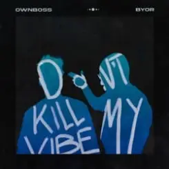 Ownboss - Don't Kill My Vibe (feat. BYOR) слушать онлайн