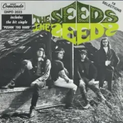 Обложка The Seeds - Can't Seem To Make You Mine