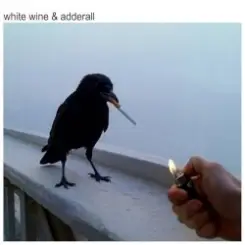 The Chainsmokers & Beau Nox - White Wine & Adderall слушать онлайн