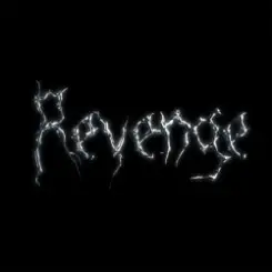 Обложка The Revenge - Every Night