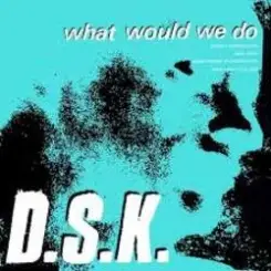 DSK - What Would We Do (Original Mix) слушать онлайн