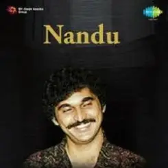 Обложка Nandu - Forever In Our Favor
