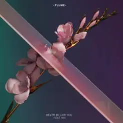 Flume - Never Be Like You (Feat. Kai) слушать онлайн