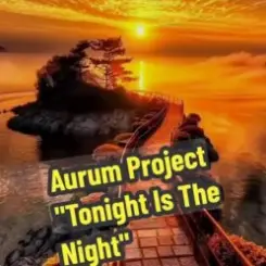 Aurum Project - Tonight Is The Night слушать онлайн