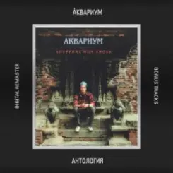 Аквариум - Не Пей Вина, Гертруда слушать онлайн