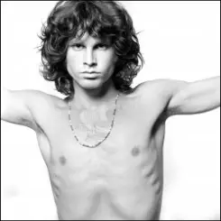 The Doors - The Unknown Soldier слушать онлайн