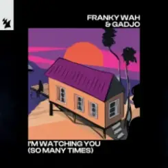 Franky Wah & Gadjo - I'm Watching You (So Many Times) слушать онлайн