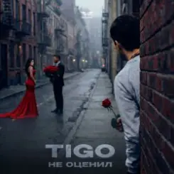 Обложка TIGO - Не оценил