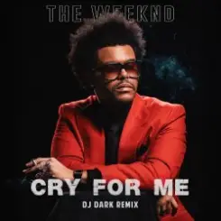 The Weeknd - Cry For Me (Dj Dark Remix) слушать онлайн