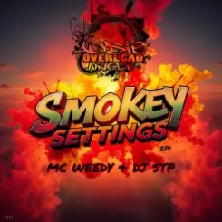 Dj Stp & Mc Weedy - Dirty Shades Of Clean слушать онлайн