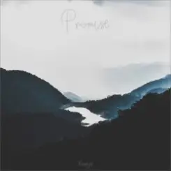 Обложка Nomyn - Promise