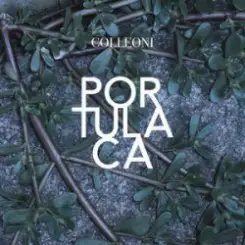 Colleoni - Senza Primavera слушать онлайн