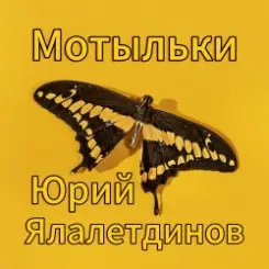 Обложка Юрий Ялалетдинов - Мотыльки