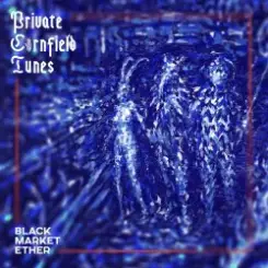 Private Cornfield Tunes - Fishermen слушать онлайн