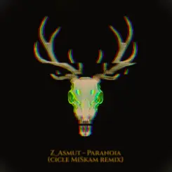 Обложка Z_Asmut - Paranoia (cicle MiSkam remix)