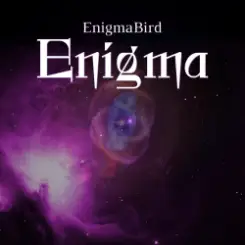 EnigmaBird - Enigma слушать онлайн