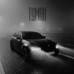 Обложка Дульский - Туман
